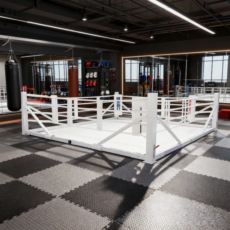 ชุดเวทีมวยพับได้ขนาดเล็ก อุปกร - Home Gym Equipment Set บทวิจารณ์และราคา